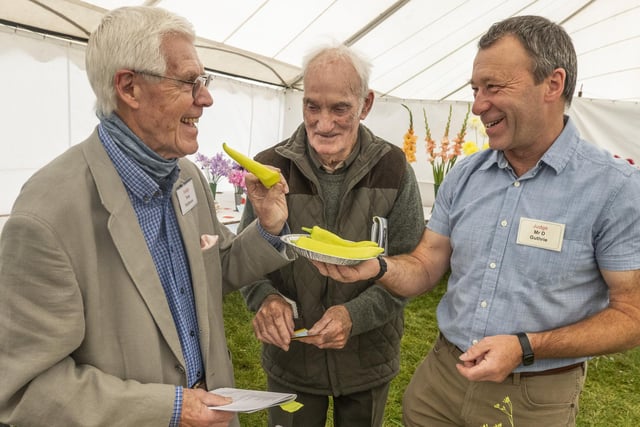 Tom Pattinson, Terry Laycock and Derek Guthrie having a fun time judging the vegetables.