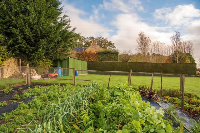 The garden includes and orchard, fruit pen and productive kitchen garden.