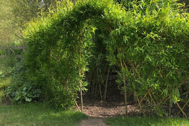 A willow den.