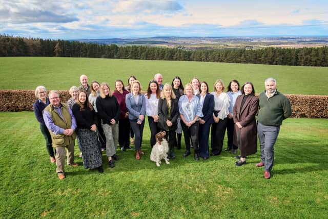 The Paton & Co team.