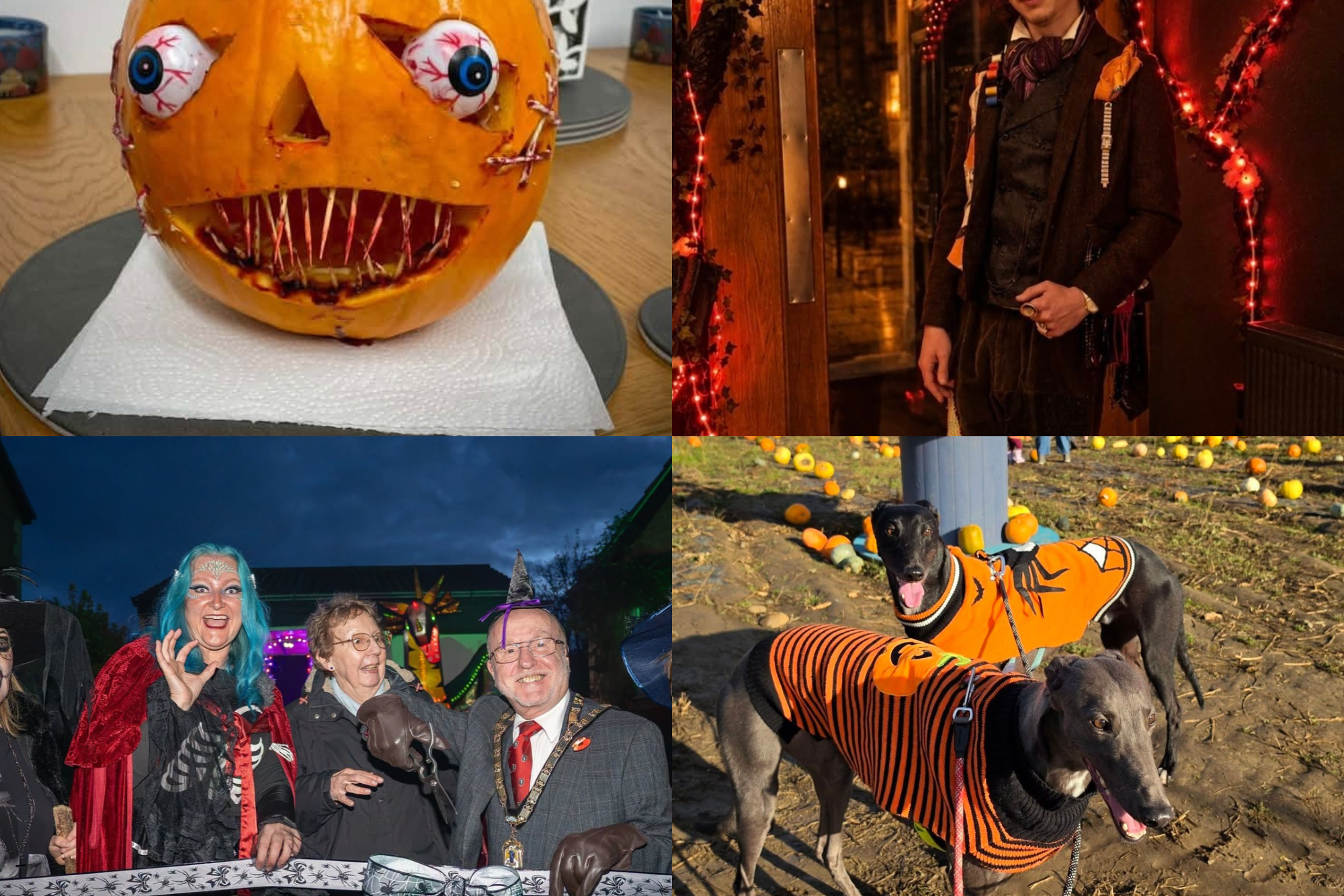 Halloween photos sent in by Northumberland Gazette readers