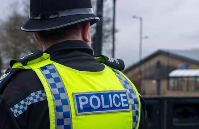 Two teenage boys have been arrested after armed police were called to Alnwick