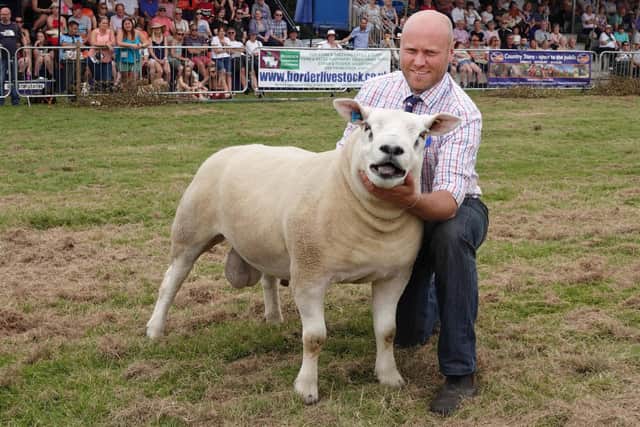 The champion sheep at Glendale Show 2019 was shown by Ian Murray from Wrangham Redsteads. Picture by Jane Coltman