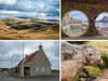Selection of pictures as it is a busy month to start 2024 for Morpeth Camera Club