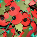 The Royal British Legion is seeking new collectors for this year’s Poppy Appeal in the Alnwick area.