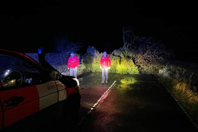 A tree lies on a road, knocked over by the powerful winds of Storm Arwen
