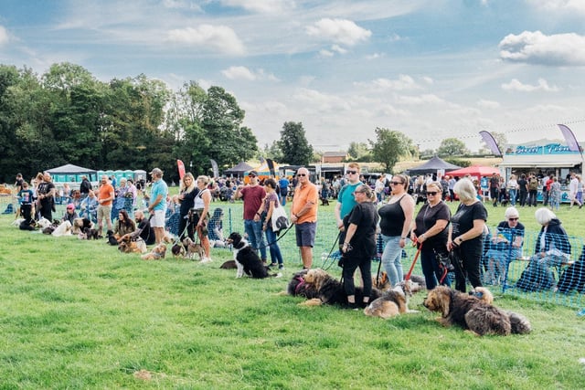 The charity dog shows raised decent totals.