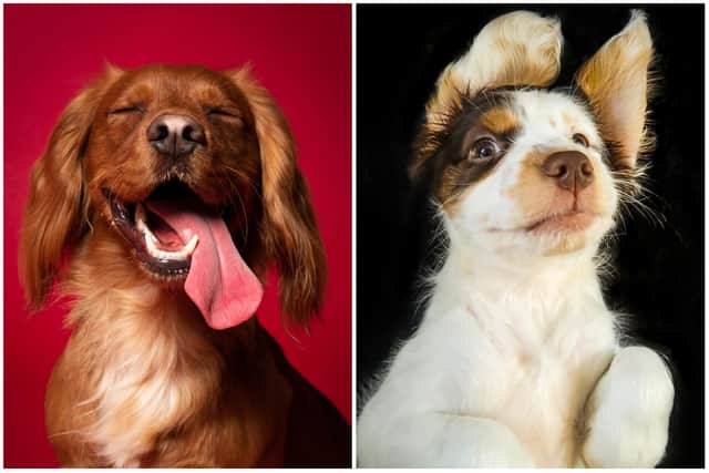 Demmi Havenhand's prize winning pictures: Radiant Ralph (left) and Baby Face (right).