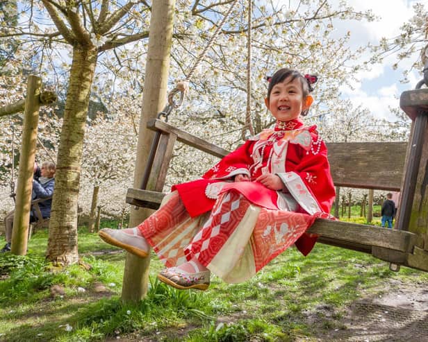 Four-year old Nona Zhang from Newcastle at The Alnwick Garden. Picture: Jane Coltman Photography