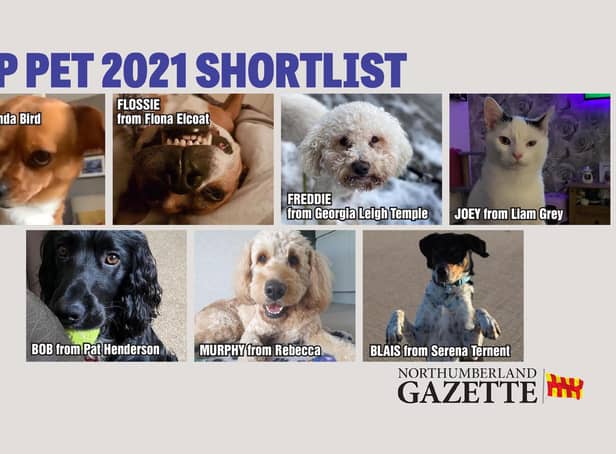 Our Top Pet shortlist has been revealed.