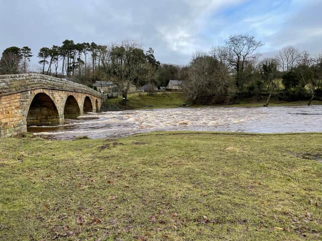 The River Coquet well up on Friday.