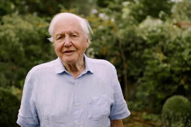 Sir David Attenborough. Picture: The Wildlife Trusts