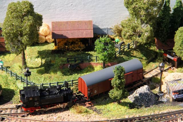 A model railway at last year's event.