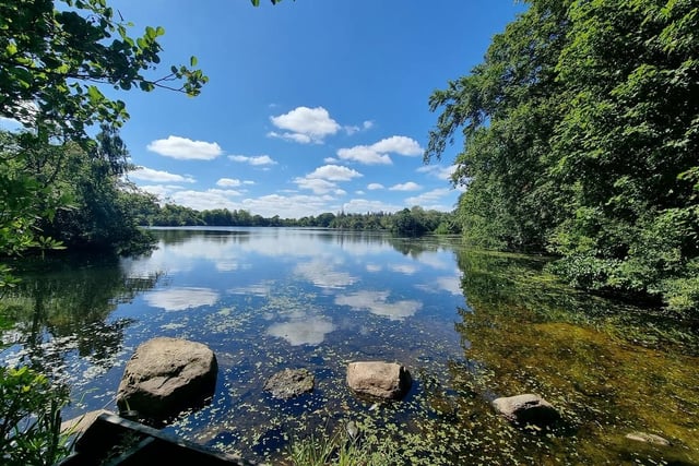 This walk is perfect for beginners, as it is graded easy and is only one mile long. 
David said: "If you just want to have a very tranquil walk around a beautiful lake, it’s hard to beat a stroll around Bolam Lake."
Take a closer look at Bolam Lake: https://www.youtube.com/watch?v=nN3qLPuwxWE