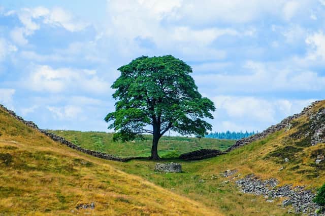 People have been urged to stay away from the Hadrian's Wall pathway with their metal detectors.