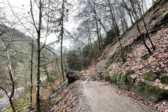 The landslip at Allen Banks and Staward Gorge obstructs the path.