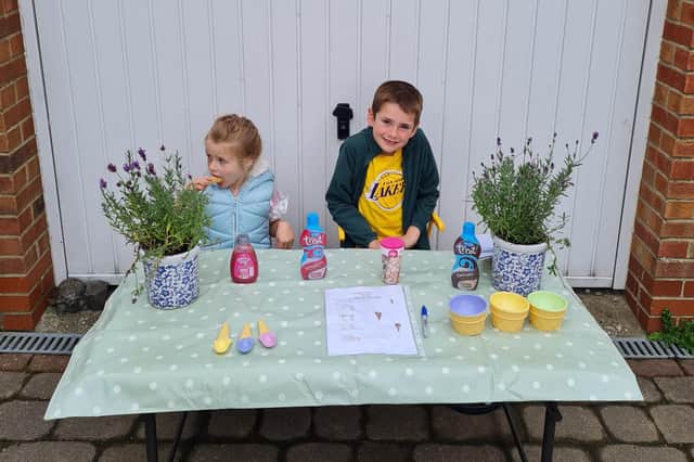 Charlie Wardell, eight, and his sister, Phoebe, who organised an ice cream sale for Children in Need.