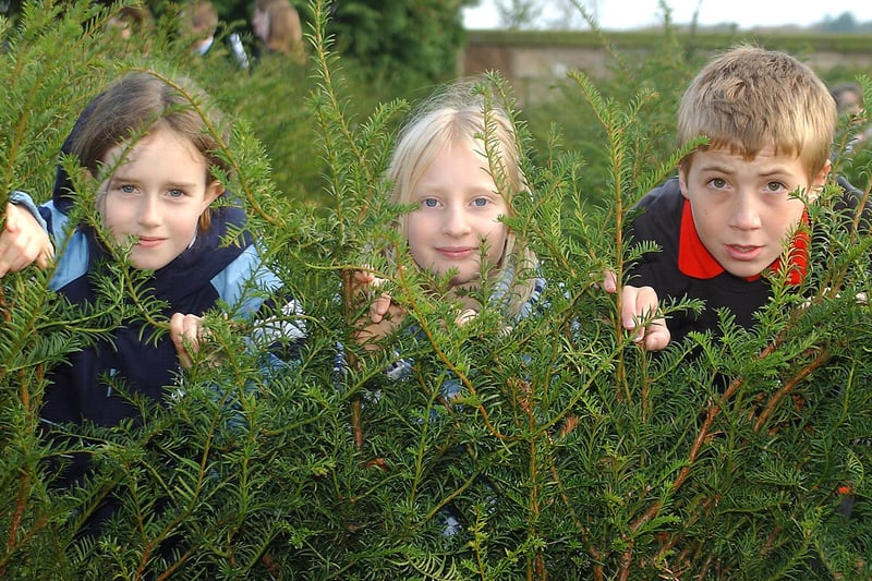 Pupils from Seahouses Middle School, who planted trees to make a maze when they attended Ellingham First School five years earlier, visited Doxford Hall to see how well the maze was growing.