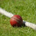 A late run of form has seen Berwick firsts stay up in Division 2, while the second XI have been relegated from Division 5 North.