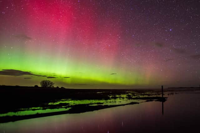 The Northern Lights at Holy Island by Jane Coltman.