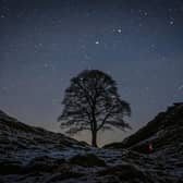 A shooting star at Sycamore Gap, Hadrian's Wall. Picture: Wil Cheung