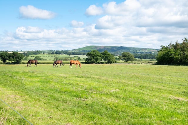 The farm comprises around 156.66 acres and has been well-known as an equine stud.