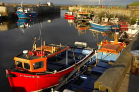 Seahouses harbour is known for their range of boat tours taking visitors to the Farne Islands including Billy Shiel's Boat Trips, Serenity Farne Island Boat Tours and Golden Gate Farne Islands Boat Trips. The tours offer a range of experiences including, puffin and seal watching cruises, sunset cruises, fishing experiences and dive charters.