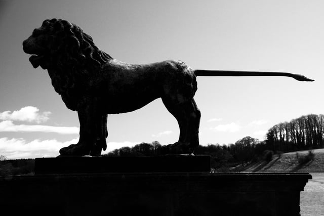 Percy Lion in Alnwick.