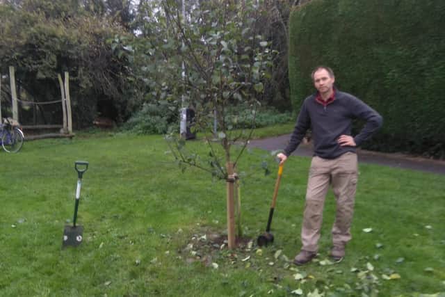 Martin Swinbank helps to repair a damaged fruit tree in the community orchard.