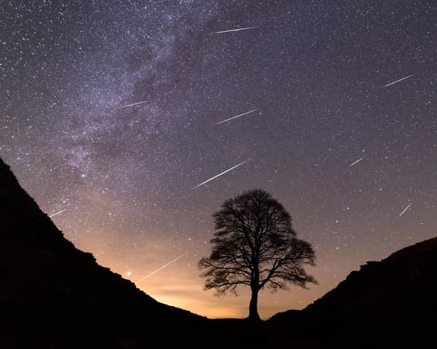 Meteor showers captured at Sycamore Gap in Northumberland.