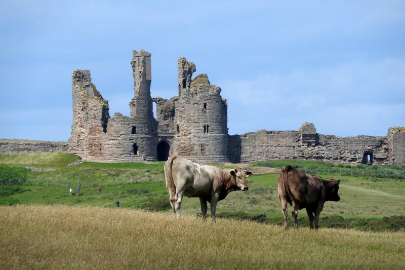 The magnificent ruins of Dunstanburgh Castle sit on the Northumberland coast. The castle was built at a time when relations between King Edward II and his most powerful baron, Earl Thomas of Lancaster, had become openly hostile. Lancaster began the fortress in 1313.