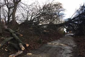 An example of the damaged caused by Storm Arwen in Northumberland. Picture by Alan Hughes.