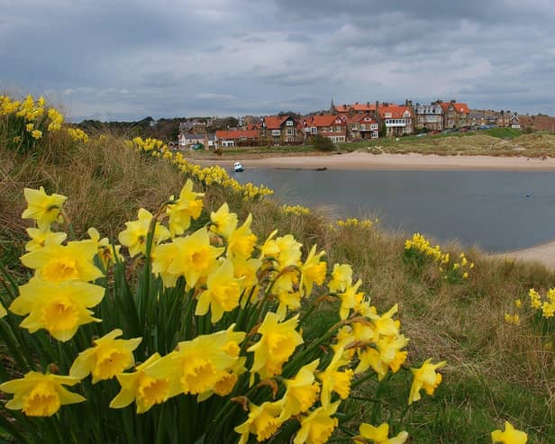 Looking from Church Hill across to Alnmouth. Picture by Jane Coltman