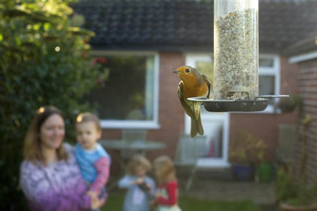 The results of the RSPB Birdwatch have been revealed.