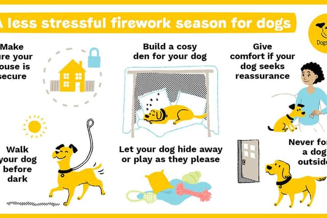 Tips for dog owners to help protect their animals this bonfire season.