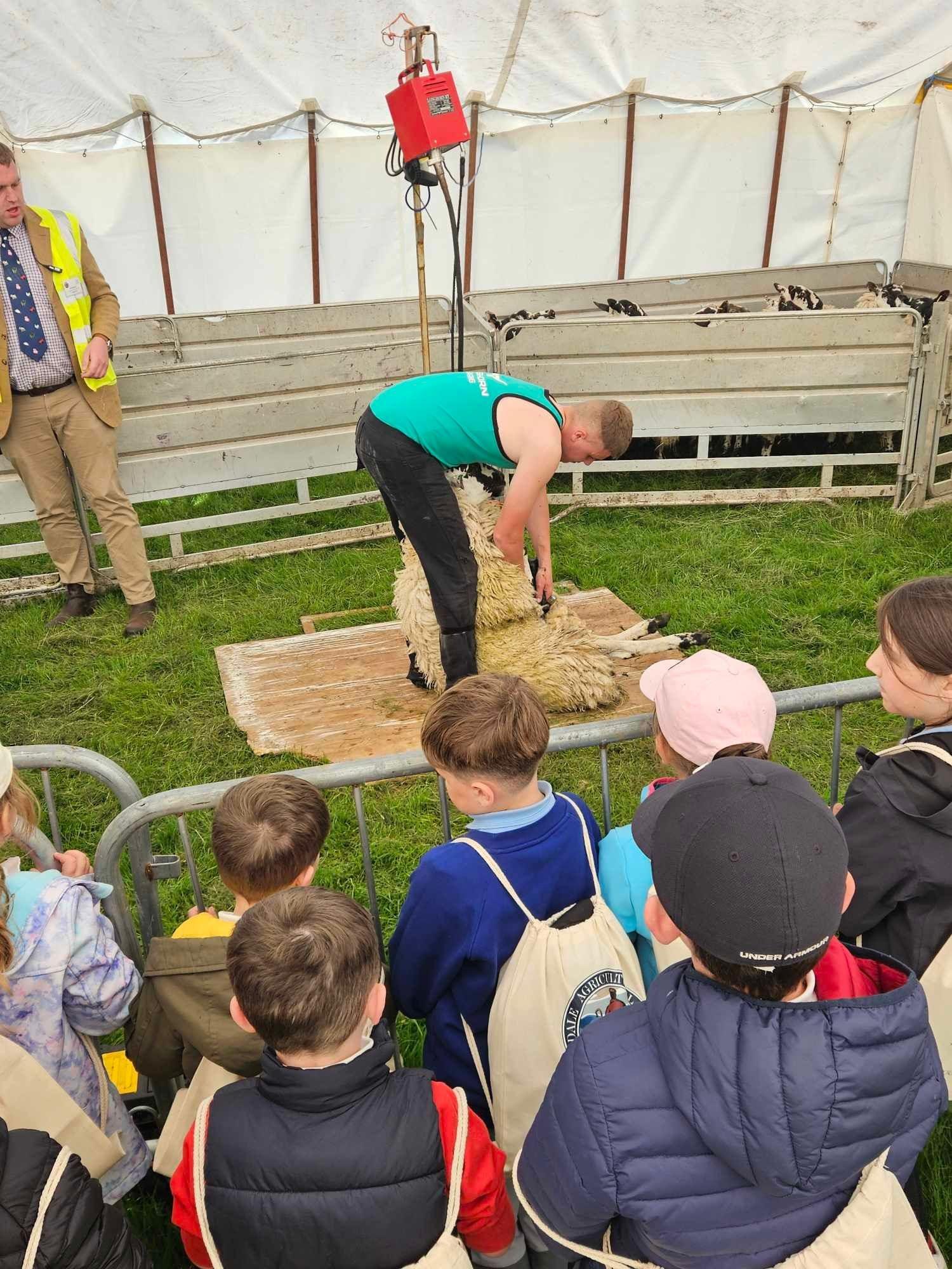 Children's Countryside Day to return to Wooler in celebration of old ...