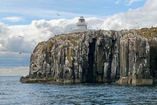 The Farne Islands. Picture: National Trust/Nick Upton.