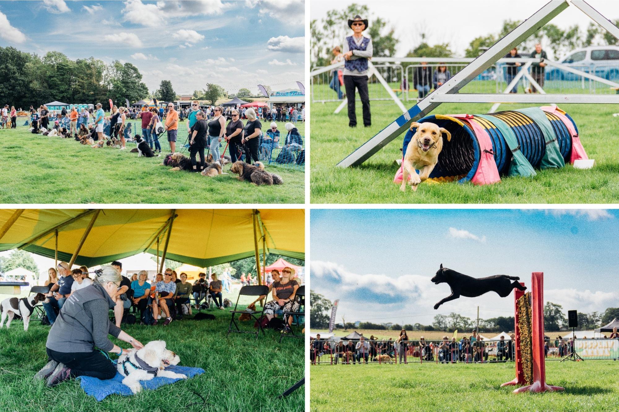 Kirkley hall deals dog show