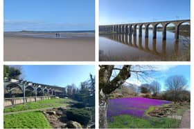Springtime in Northumberland.