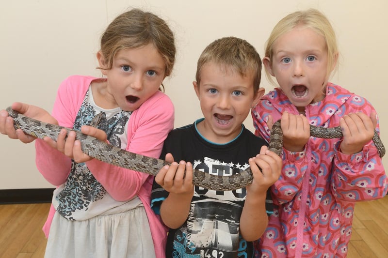 A Creepy Crawly show - (Left to right) Devon Hart (8), Traigh Hart (5), and Savannah Leigh (7) with Nugget the Corn Snake.