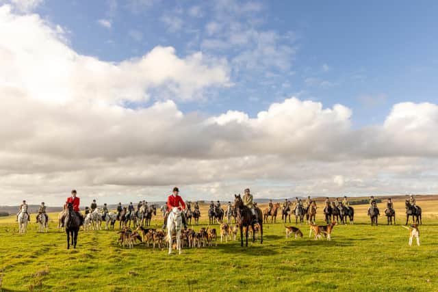 Horses, hounds and riders at the trail hunting event. Picture: Verity Johnson