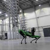 Spot, a robot made by Boston Dynamics, was trialled by National Grid in Blyth.