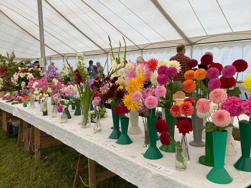 Floral entries in the main marquee.