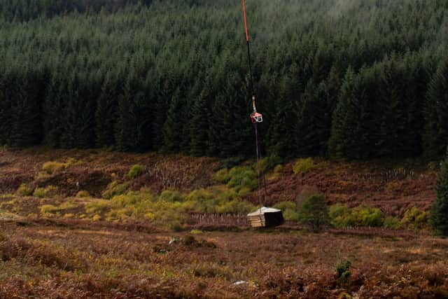 Tree stakes and tubes are dropped at Kielder. Picture: Elliot Lea