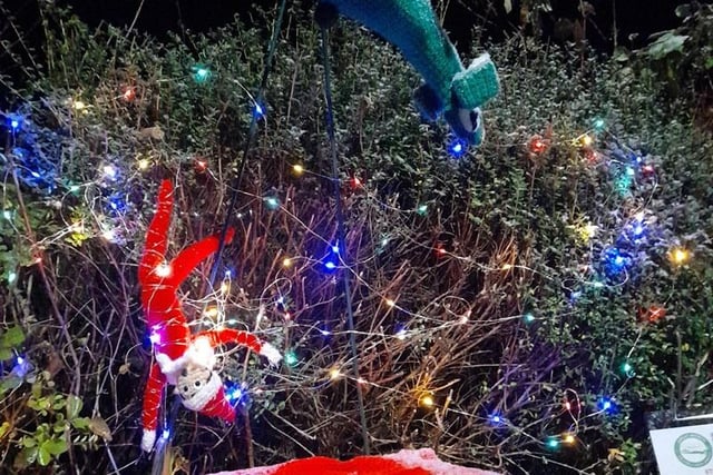 Elf got himself all tangled in the Christmas lights.