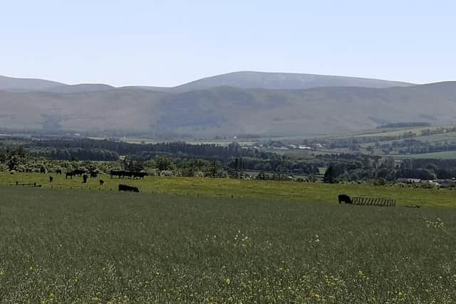 Views of the Cheviots from Hay Farm House.