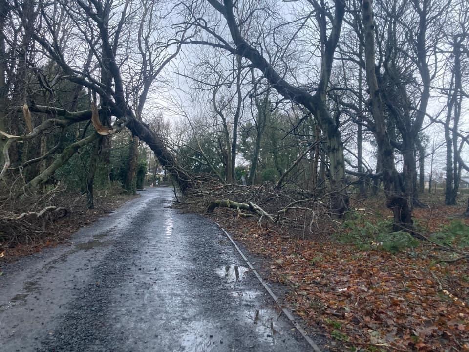 New weather warning issued for Northumberland as Storm Boelo to be followed by more gales