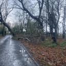 Storm damage near Craster. File image