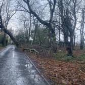 Storm damage near Craster. File image
