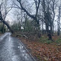 New weather warning issued for Northumberland as Storm Boelo to be followed by more gales